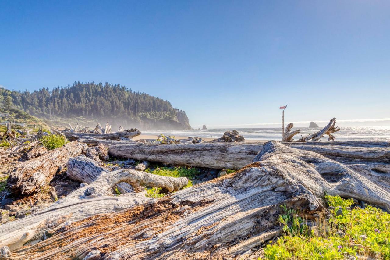 Cape Meares Overlook Ngoại thất bức ảnh